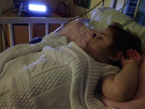 When Margot’s white cell count was low and the % of donor cells present in her blood was rising…