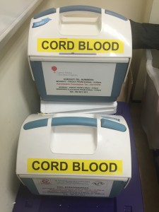 The registry collects cord blood ...