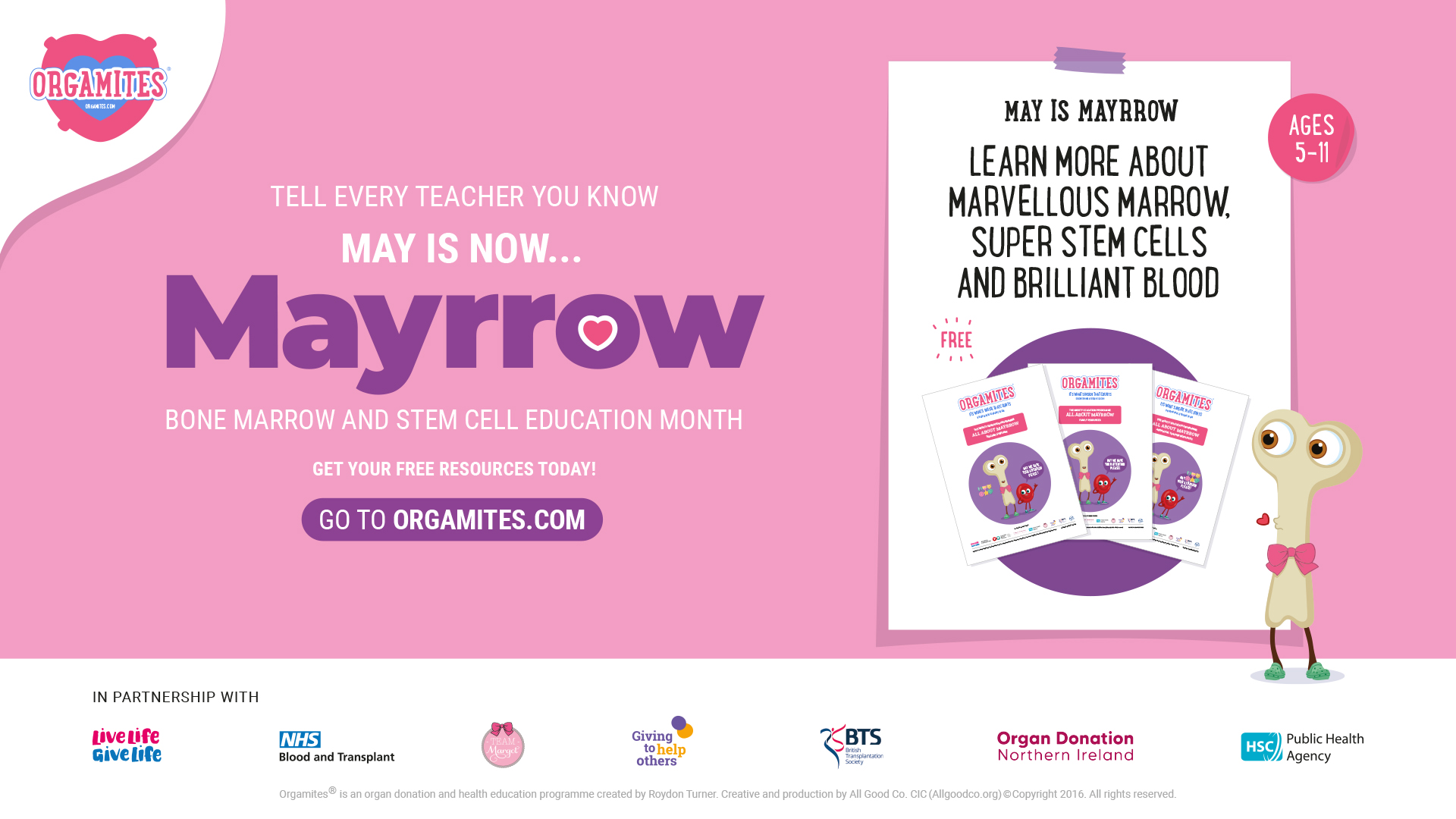May is now… Mayrrow: bone marrow and stem cell education month